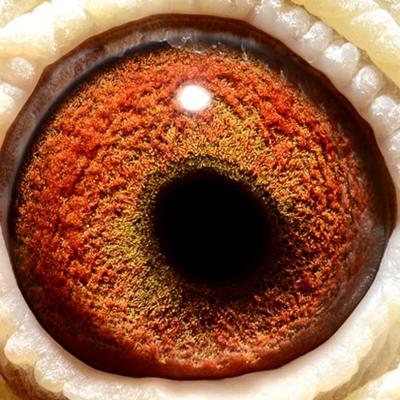 ������������·4