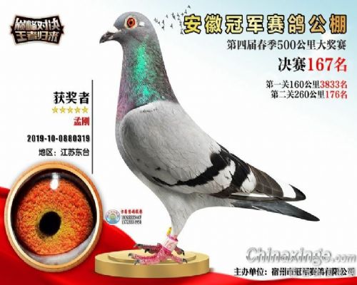 �ھ��������167