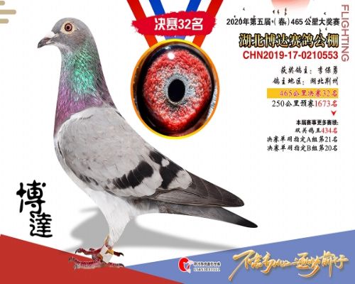 ���﹫�ｱ��