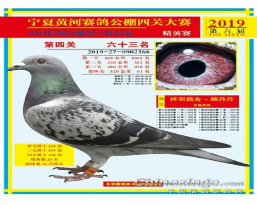 �ƺӹ���63��