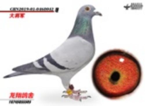 ����Ⱥ�Ǹ�ҵ�󽫾�