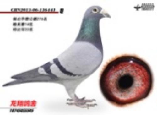 �����ָ�