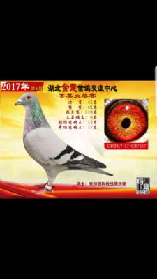 �������6��