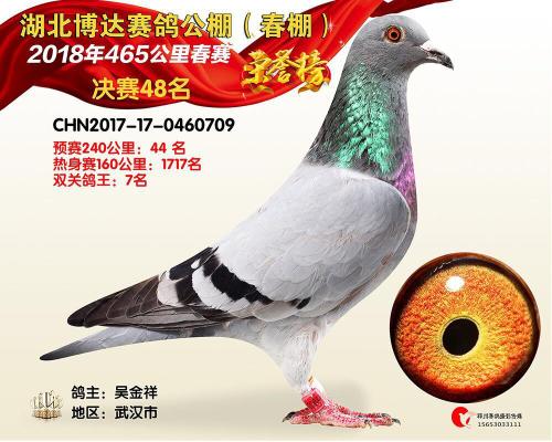 ���ﴺ�����7��