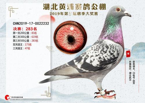 ���̹���283��