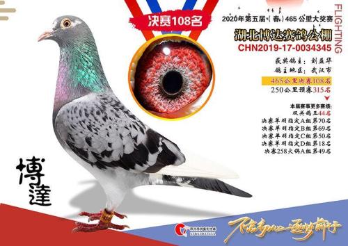 ���ﴺ��108��