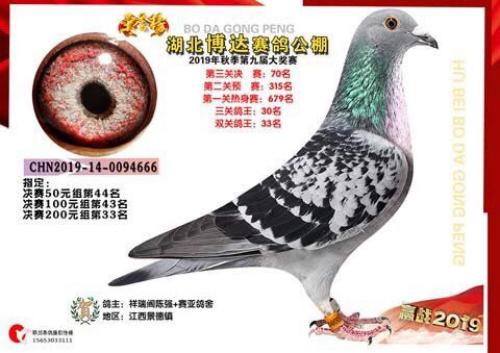 ���﹫��70��