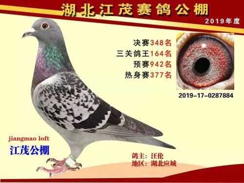 ��ï����348��