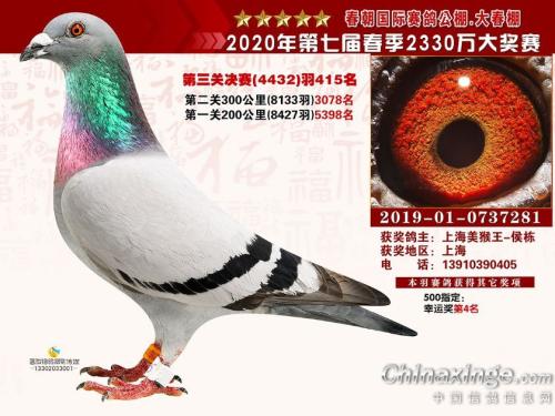 2020�괺���������415����