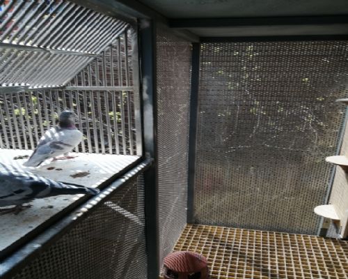 ����һ��