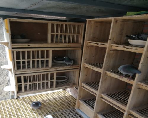 ����һ��