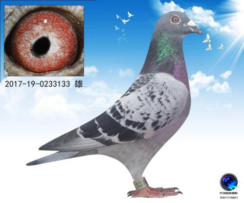 ���Ž���01�Ӵ�