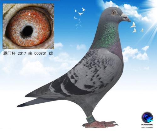 ���Ž���01