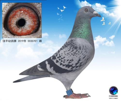 ���Ž���01���