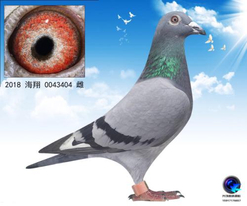 ���Ž���01�Ӵ�