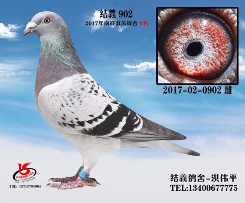 ���Ž���02