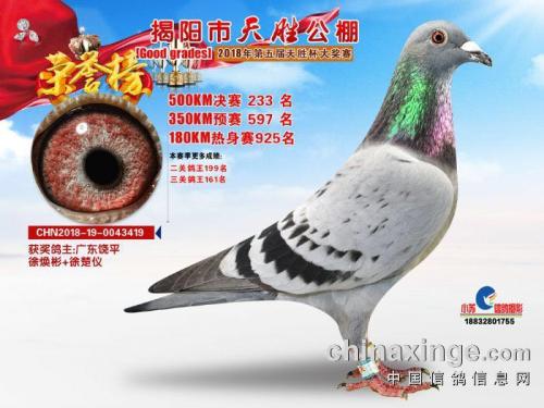 ��ʤ����233��