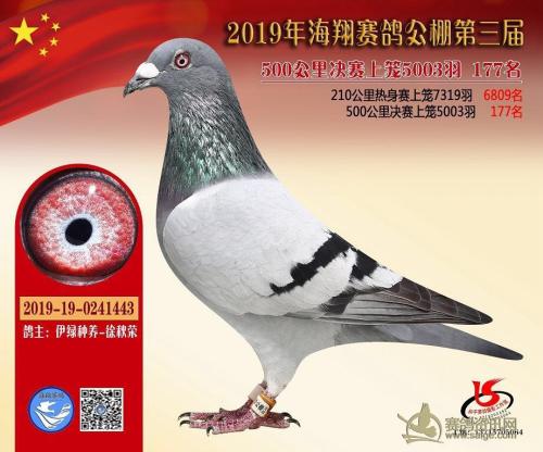 ���蹫��177��