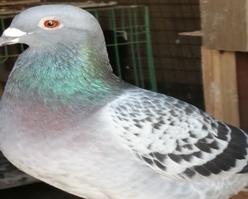 ����ʱ��ǳ����ۣ�2020һ22һ0854206