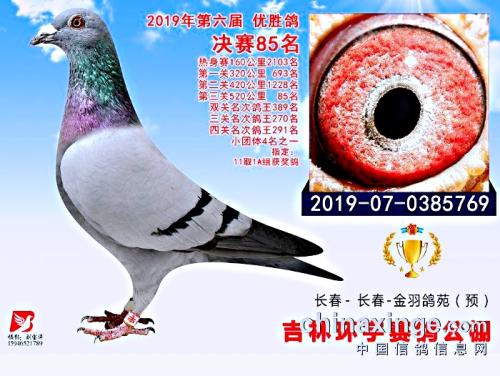 �����ָ�