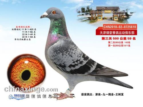 ����59��