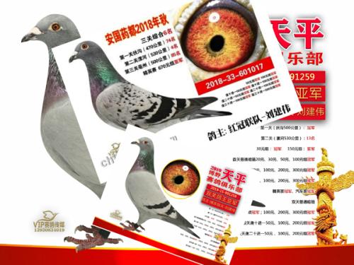 һ��������