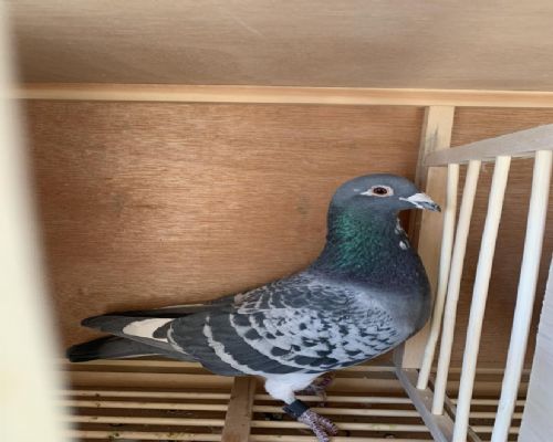 ����һ��