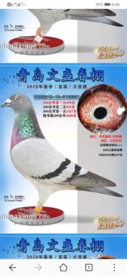 �����ض��ػ�Ѫ