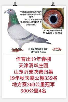 ������Ħ��