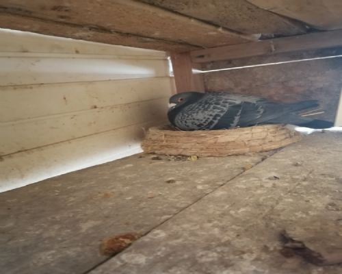 ������主ϣ��