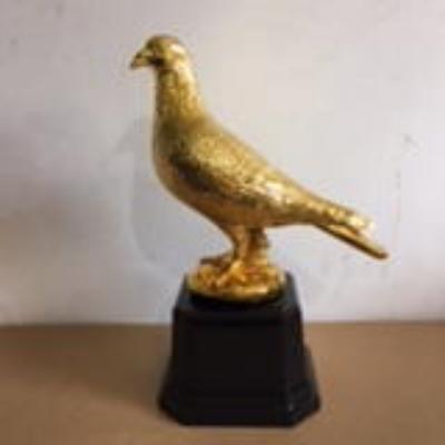 ��뽱��-ʵ��ͼ