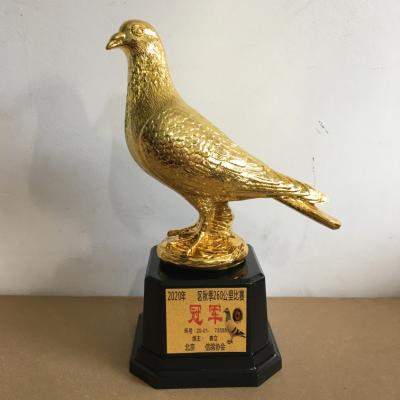 ��뽱��-�ɼ���