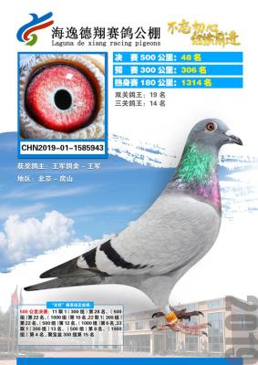 ���ݵ���