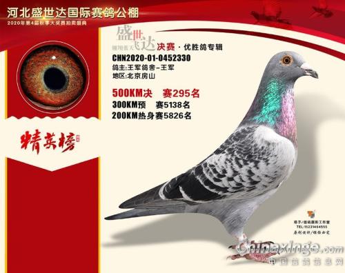 ʢ����295��