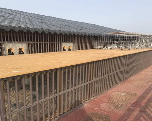 ������Ƭ