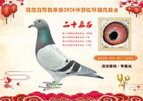 �ر��Ĺظ���25��