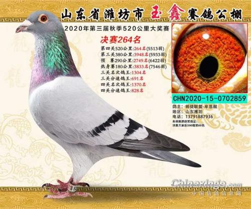 ����264��