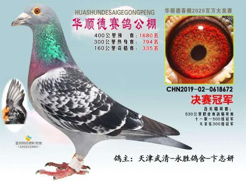 ��˳�¹���ھ�