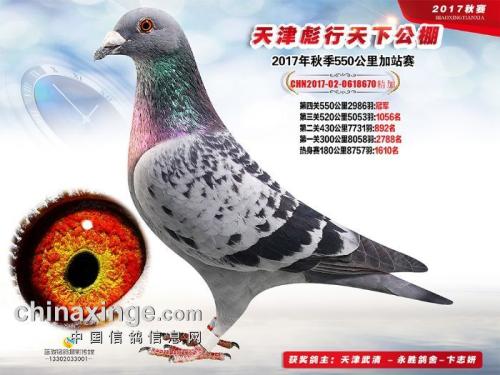 �������¼�վ���ھ�