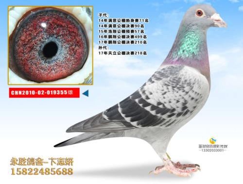 �ڶ������