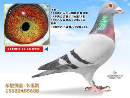 ��վ�ھ�����-����