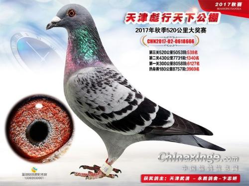 ��˳�¹���ھ�����-����