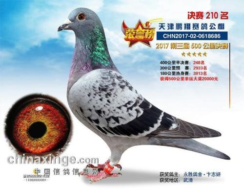 ��˳�¹���ھ�ĸ��