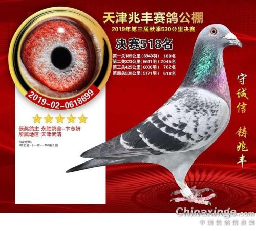 ��һ���֮��-����