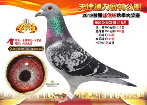 ��˳�¹���ھ�ͬ��