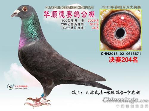 ��ɫ����-��һ�������