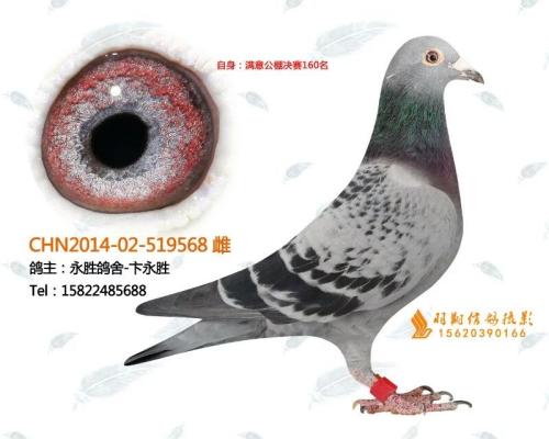 ��һ���֮Ů-����