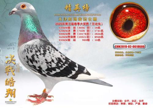 �����վ��10��