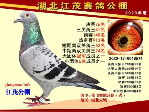 Ѫͳ.�ױ�����