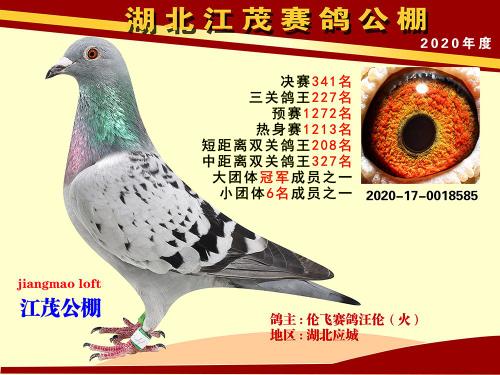 Ѫͳ.³���������